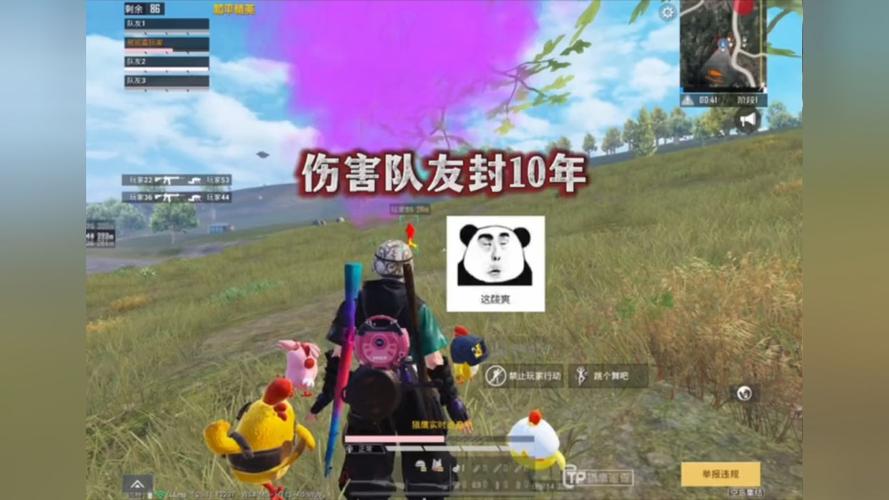 和平精英辅助【EAP+雷神】